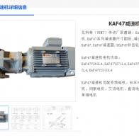 KAF47-19.58-SF100-M2-FA減速電機