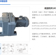 R147-163.31-DRN160M4-11KW-M1-0°減速電機(jī)