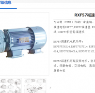 RXF57DV100L4/TF/ES1S減速電機(jī)型號(hào)解析