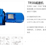 TR58-YPEJ0.55-4-120.63-M1-0°減速電機(jī)型號解析