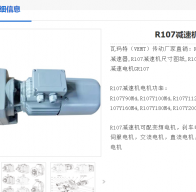 R107-229.95-YEJ-3KW-4P-M5-270°減速電機(jī)型號(hào)解析