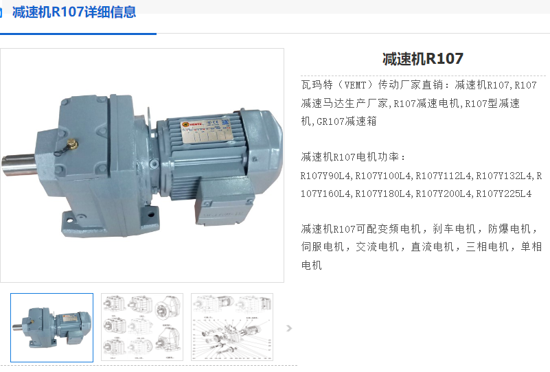 R107DRN100L4BE5HRV減速電機.png