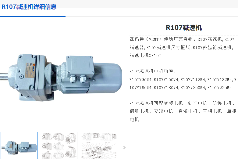 R107DRN100L4/BE5/HR/V減速電機(jī).png